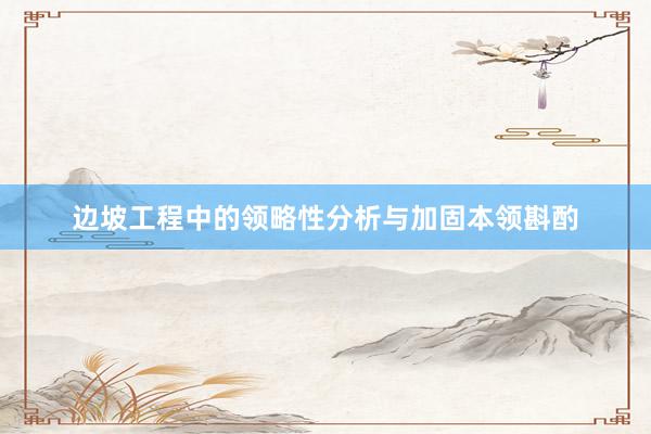 边坡工程中的领略性分析与加固本领斟酌